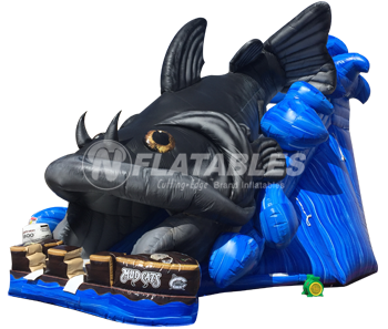 Inflatable Catfish Slide