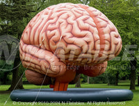Inflatable Brain Display