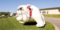 Inflatable Bulldog Mascot
