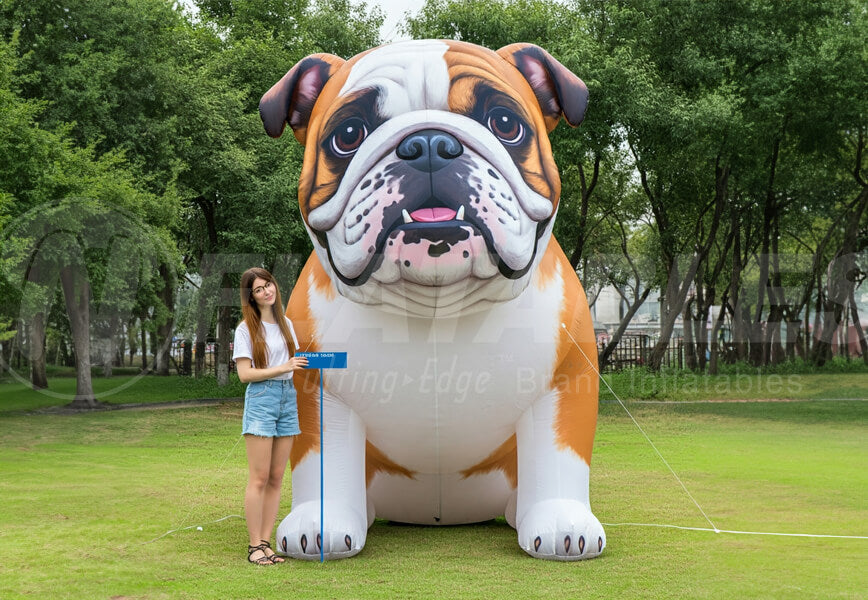 Inflatable Bulldog