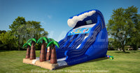 Catch A Wave™ (20’) Dual Lane Slide