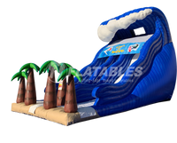 Catch A Wave™ (27’) Dual Lane Slide
