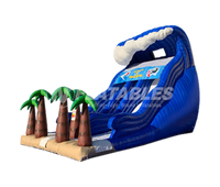 Catch A Wave™ (20’) Dual Lane Slide
