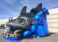 Inflatable Catfish Slide