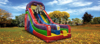 Customized Wacky 18' Slide