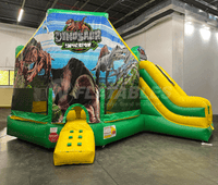 Customized Club Slide with Dinosaur Panel