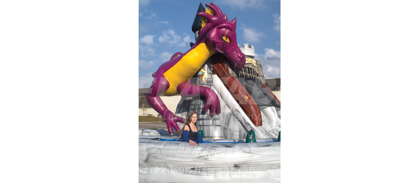 Dragon’s Castle™