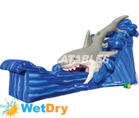 Gone Fish’n Wet/Dry Slide™ (20’)
