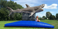 Inflatable Great White Shark Photo Op