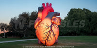Inflatable Heart Display