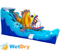 Monster Fish™ (21') Wet/Dry Slide