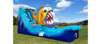 Monster Fish™ (21') Wet/Dry Slide