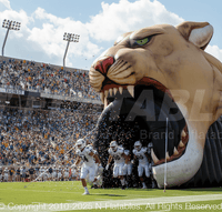 Inflatable Mountain Lion Sports Tunnel