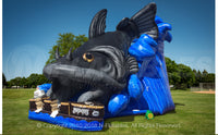 Inflatable Catfish Slide