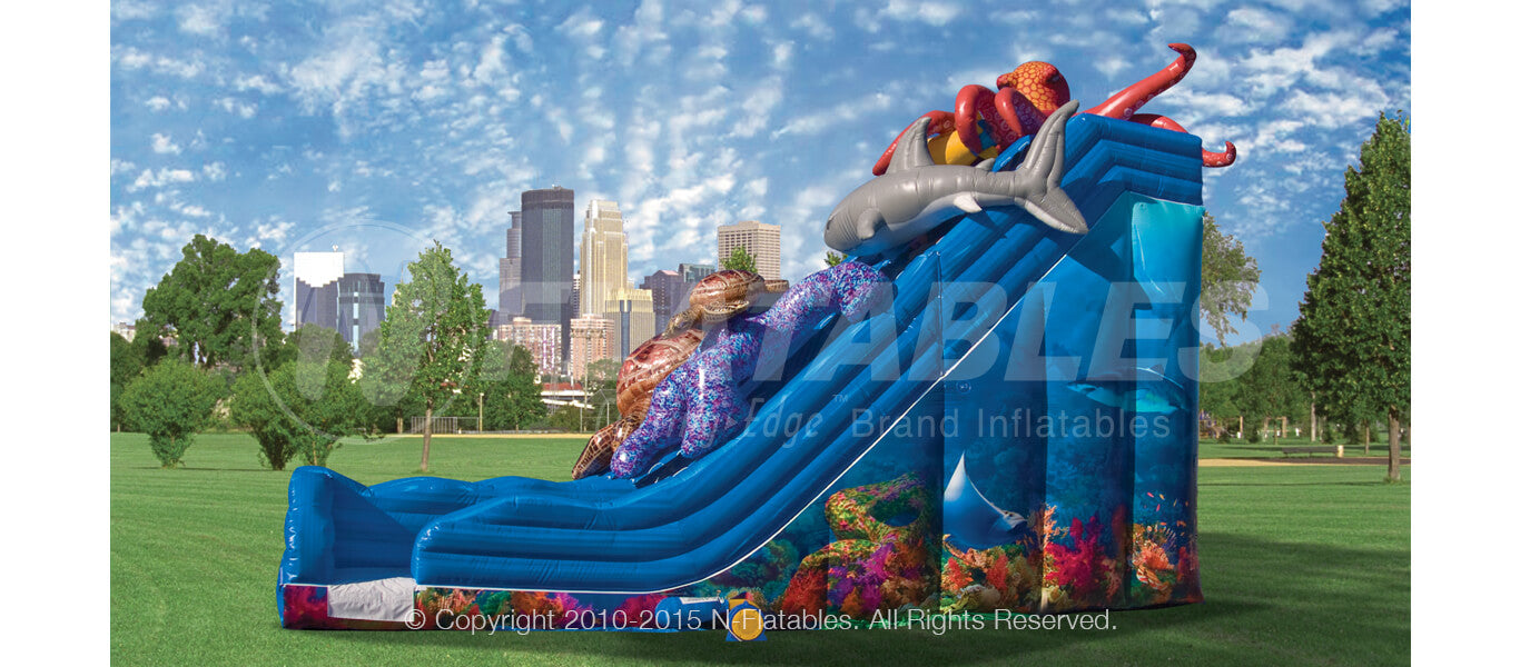 Ocean Quest™ (20’) Dual Slide