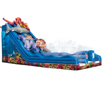 Ocean Quest™ (29’) Dual Water Slide