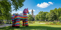 Inflatable Piñata