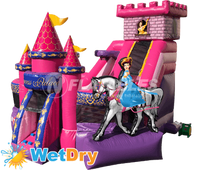 Princess KidZone™ Wet/Dry Combo