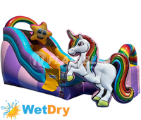 Rainbow Unicorn™ Wet/Dry Slide