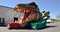 Raptor™ Dual Slide