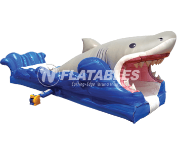 Shark Big Bite Surf &amp; Slide™