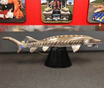 Inflatable Sturgeon Fish