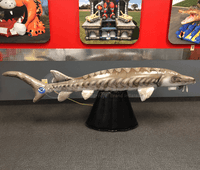 Inflatable Sturgeon Fish