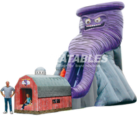 Twisted Twister™ (32’) Slide