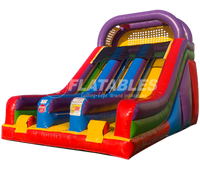 Wacky (18’) Dual Slide™