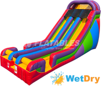 Wacky (22’) Dual Wet/Dry Slide