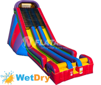 Wacky (28’) Dual Slide™ Wet/Dry