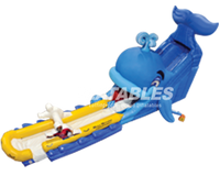 Wally Whale Jr.™ Water Slide