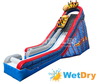 Wild One Wet/Dry Slide™