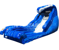 Wild Wave Jr.™ (19’) Water Slide w/ Pool