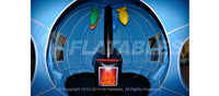 Inflatable fish and fire place igloo inside the Arctic Expedition tunnel slide. 
