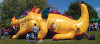 Side view of the Dragon Hide-n-Slide™ inflatable combo set up at an outdoor event. 