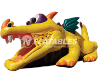 Dragon Hide-n-Slide™ inflatable combo on white background