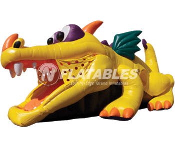 Dragon Hide-n-Slide™ inflatable combo on white background
