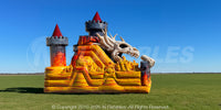 Dragon's Skull Dual 180 Obstacle™