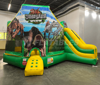 Customized Club Slide with Dinosaur Panel