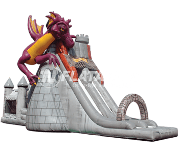 Dragon’s Tower Slide Combo™