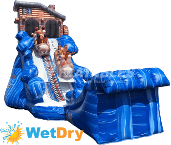 North Woods Flume™ Wet/Dry Slide